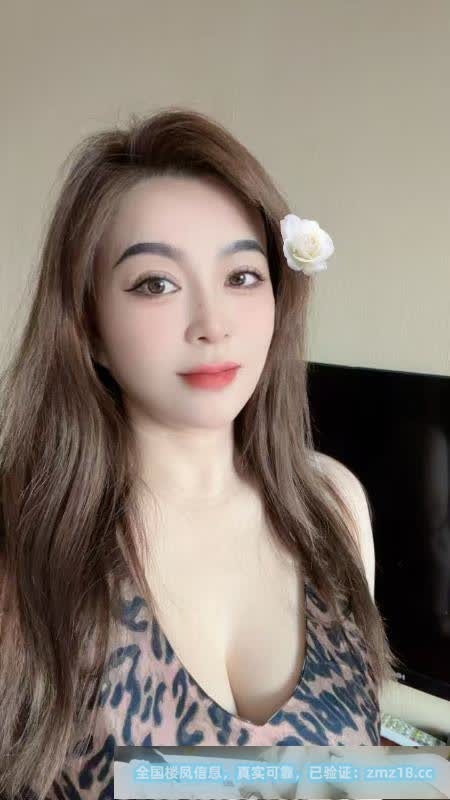 东北老师