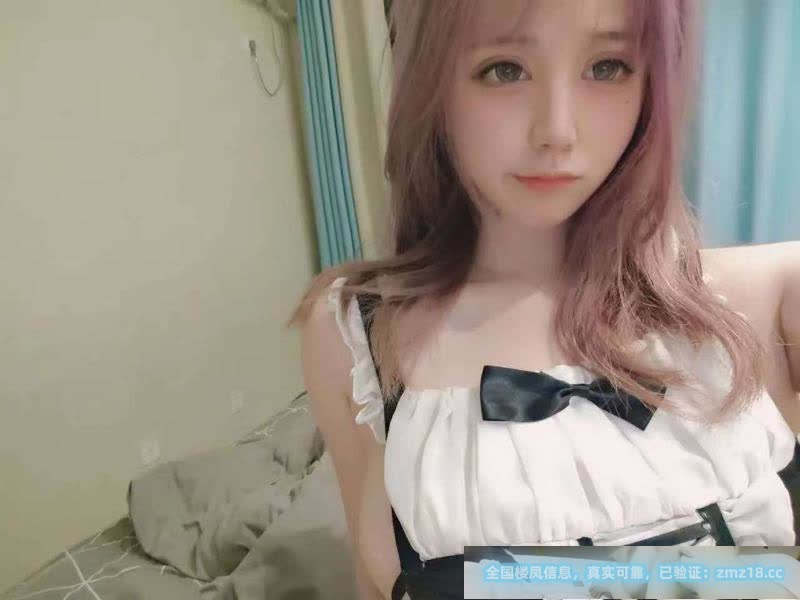 青岛小黄毛